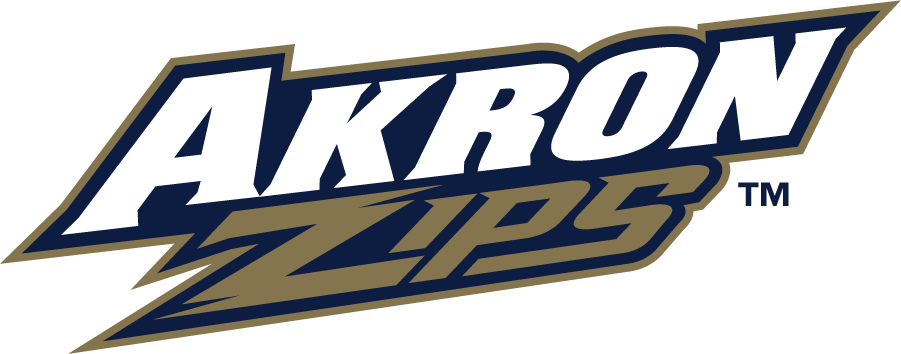 Akron Zips 2008-2018 Wordmark Logo iron on transfers for clothing